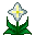 Tier 6 Crops